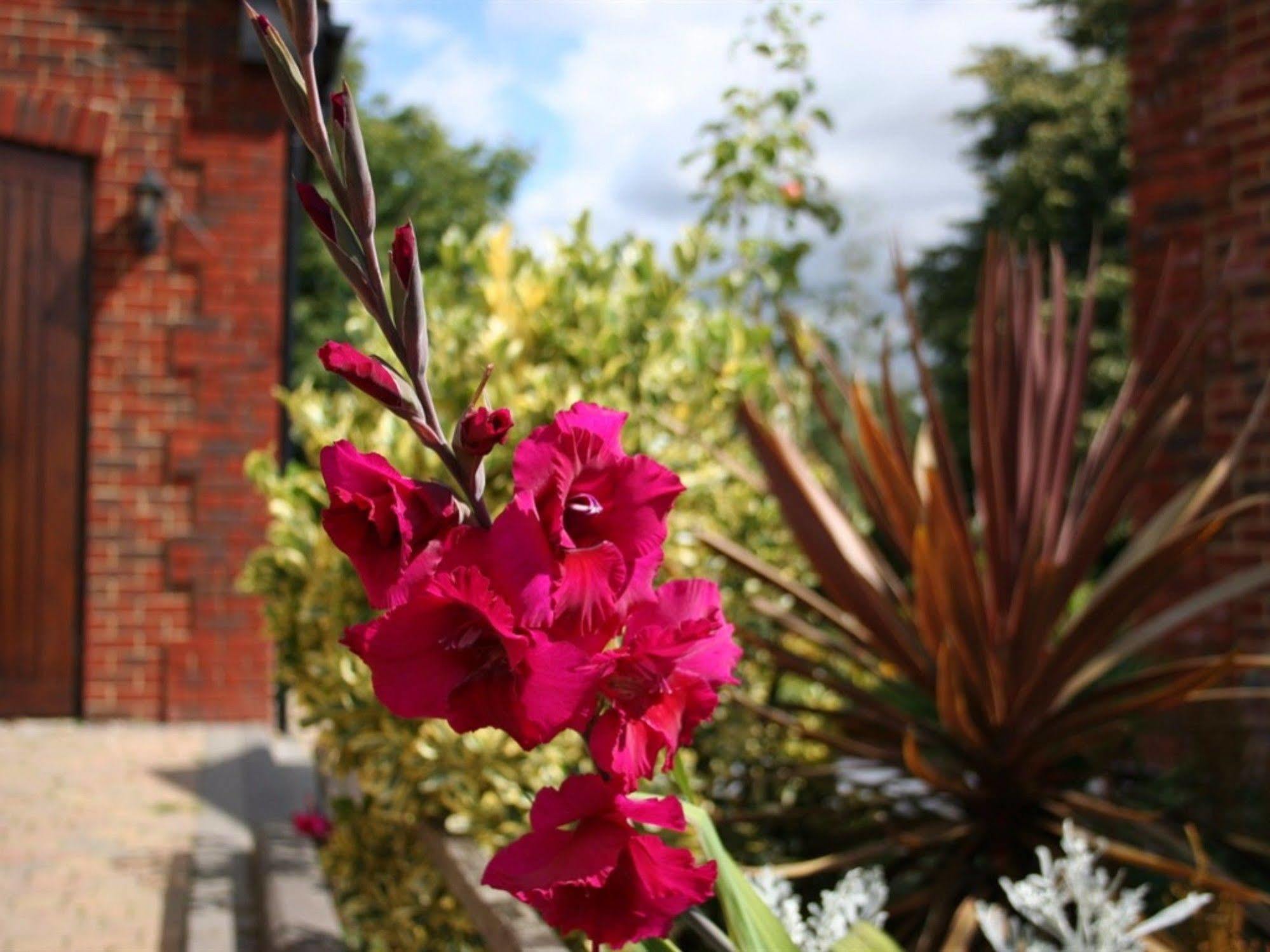 Millers House Boutique B&B Emsworth Bagian luar foto